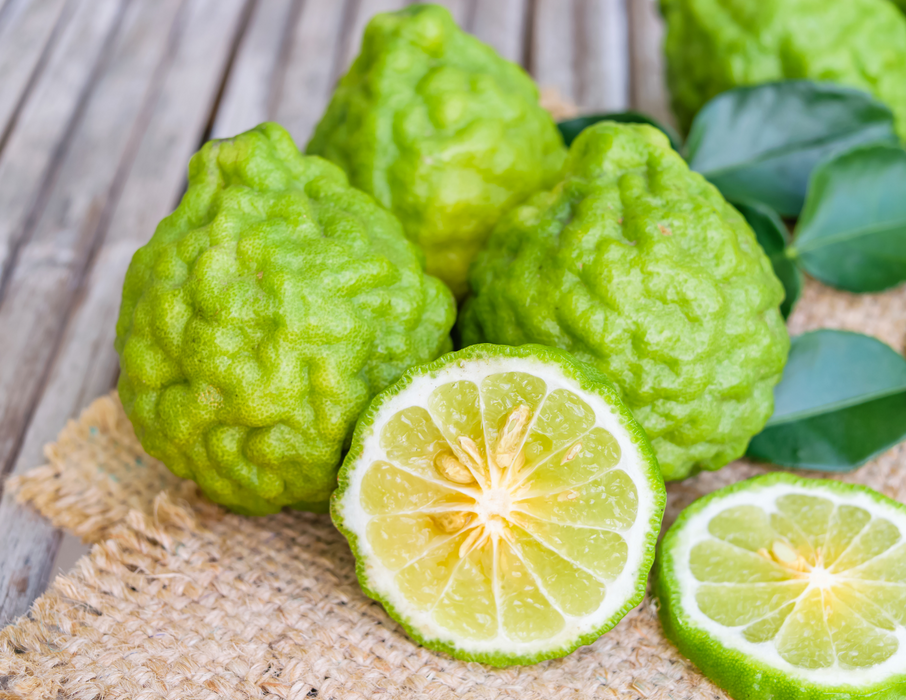 Bergamot Essential Oil