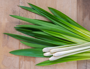 Lemongrass