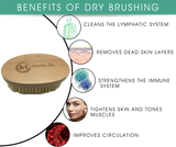 Vegan Body Brush