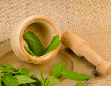 Spearmint